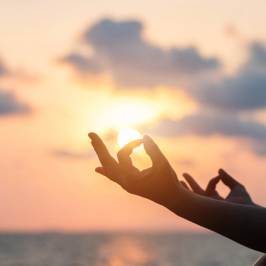 {Evolve} Self and System