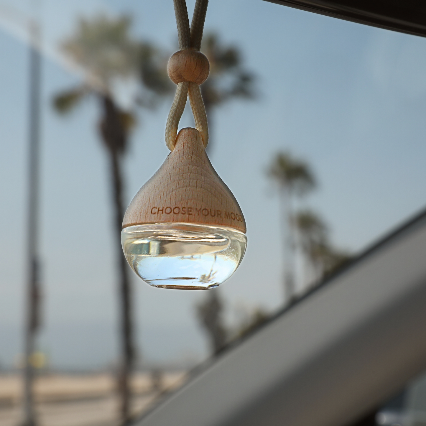 Empowered Lifetherapy Car Diffuser